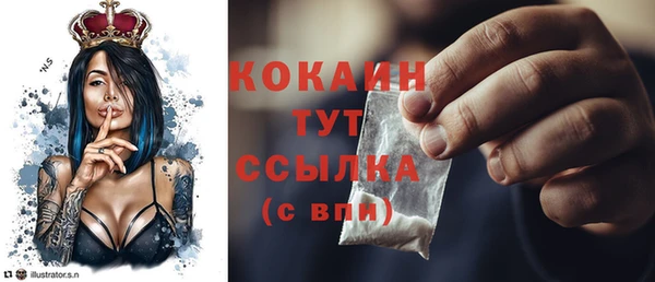 гашик Осинники