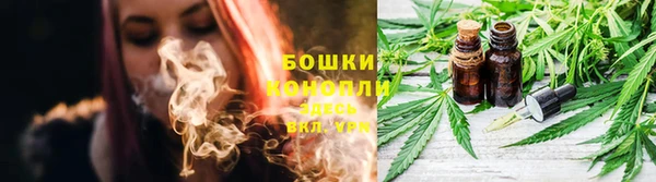 Альфа ПВП Осташков