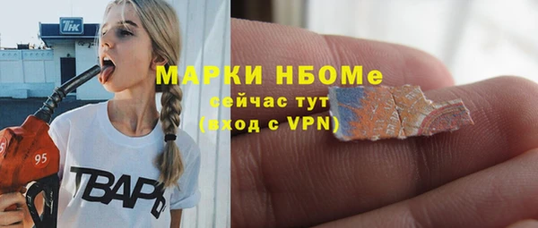 гашик Осинники