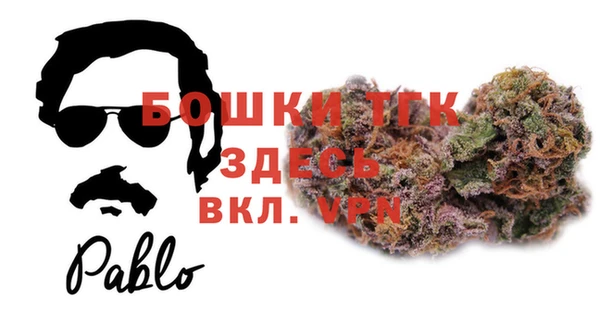 гашик Осинники