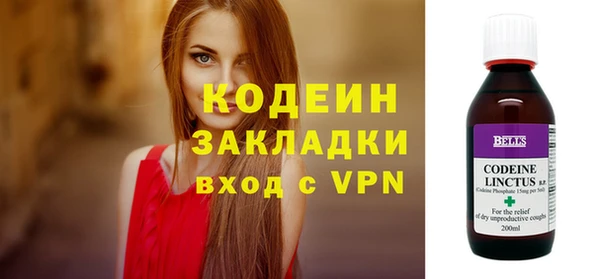 гашик Осинники