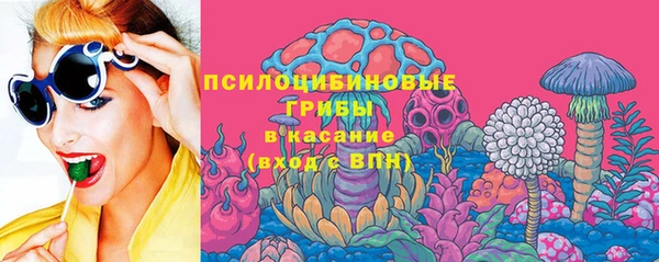 гашик Осинники