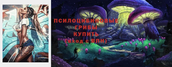 Альфа ПВП Осташков