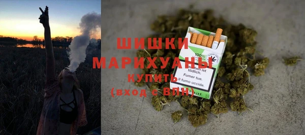 гашик Осинники