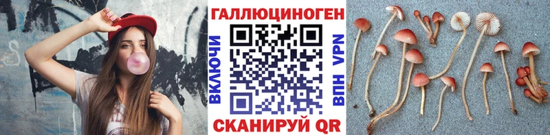 Галлюциногенные грибы Psilocybine cubensis  Юхнов 